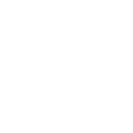 icon: Buch